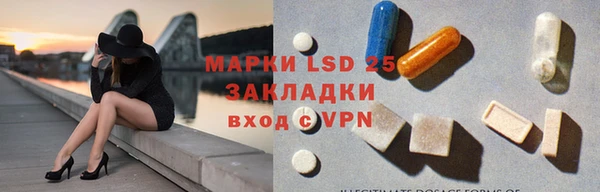 ГАЛЛЮЦИНОГЕННЫЕ ГРИБЫ Белокуриха