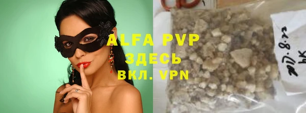ГАЛЛЮЦИНОГЕННЫЕ ГРИБЫ Белокуриха