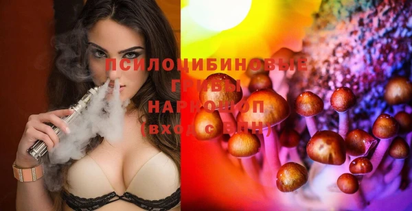 ГАЛЛЮЦИНОГЕННЫЕ ГРИБЫ Белокуриха