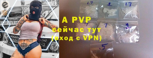 ГАЛЛЮЦИНОГЕННЫЕ ГРИБЫ Белокуриха