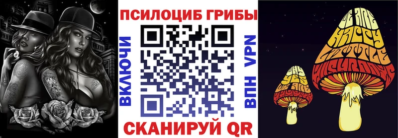 закладки мега маркетплейс Псилоцибиновые грибы мухоморы Онега